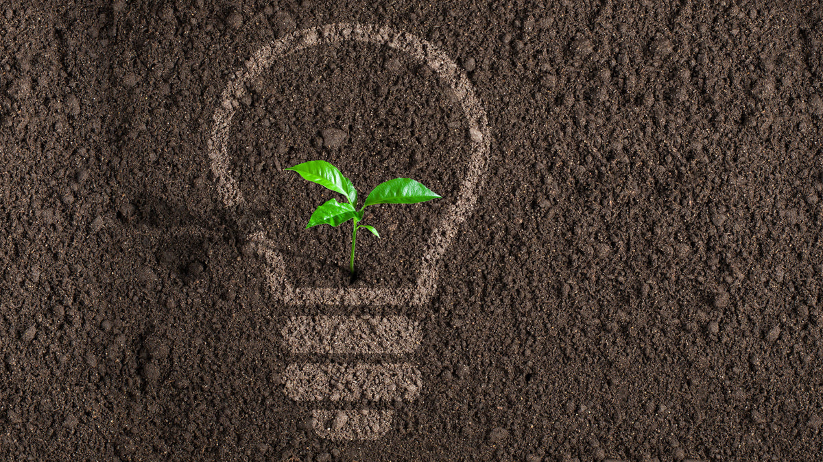 REASONS WHY LEDS ARE EXCELLENT FOR THE ENVIRONMENT A&A LED LIGHTING LLC.